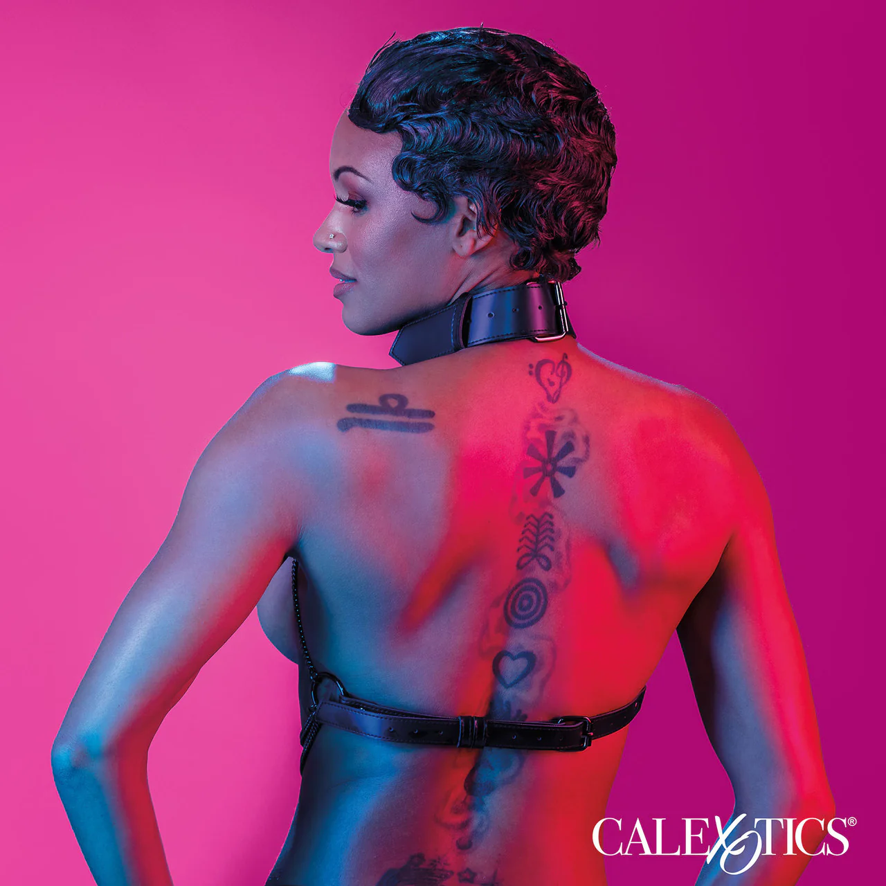 Euphoria Collection Multi Chain Collar Harness By CalExotics - Image 3