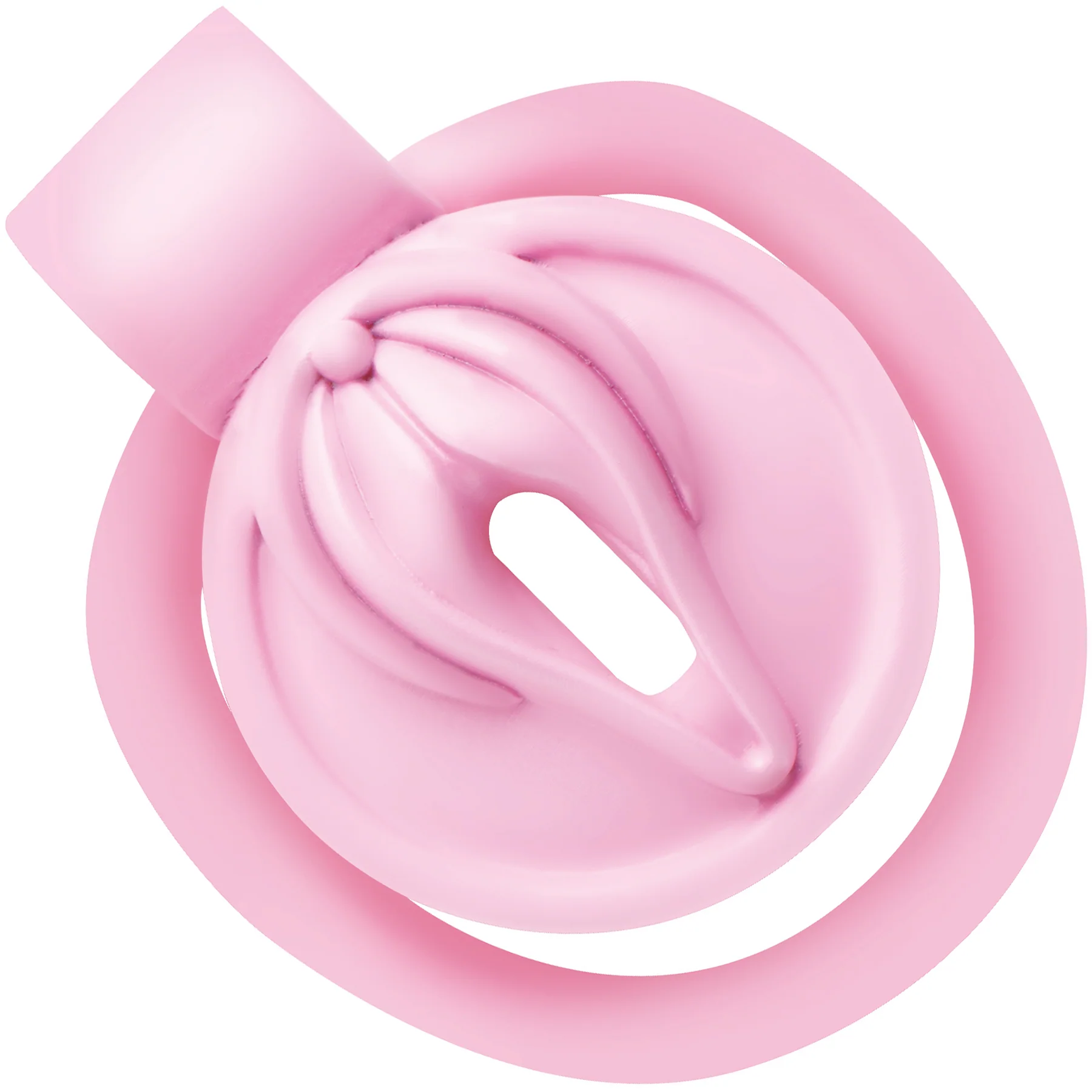 Master Series Pussification Vulva Chastity Cage - Image 6