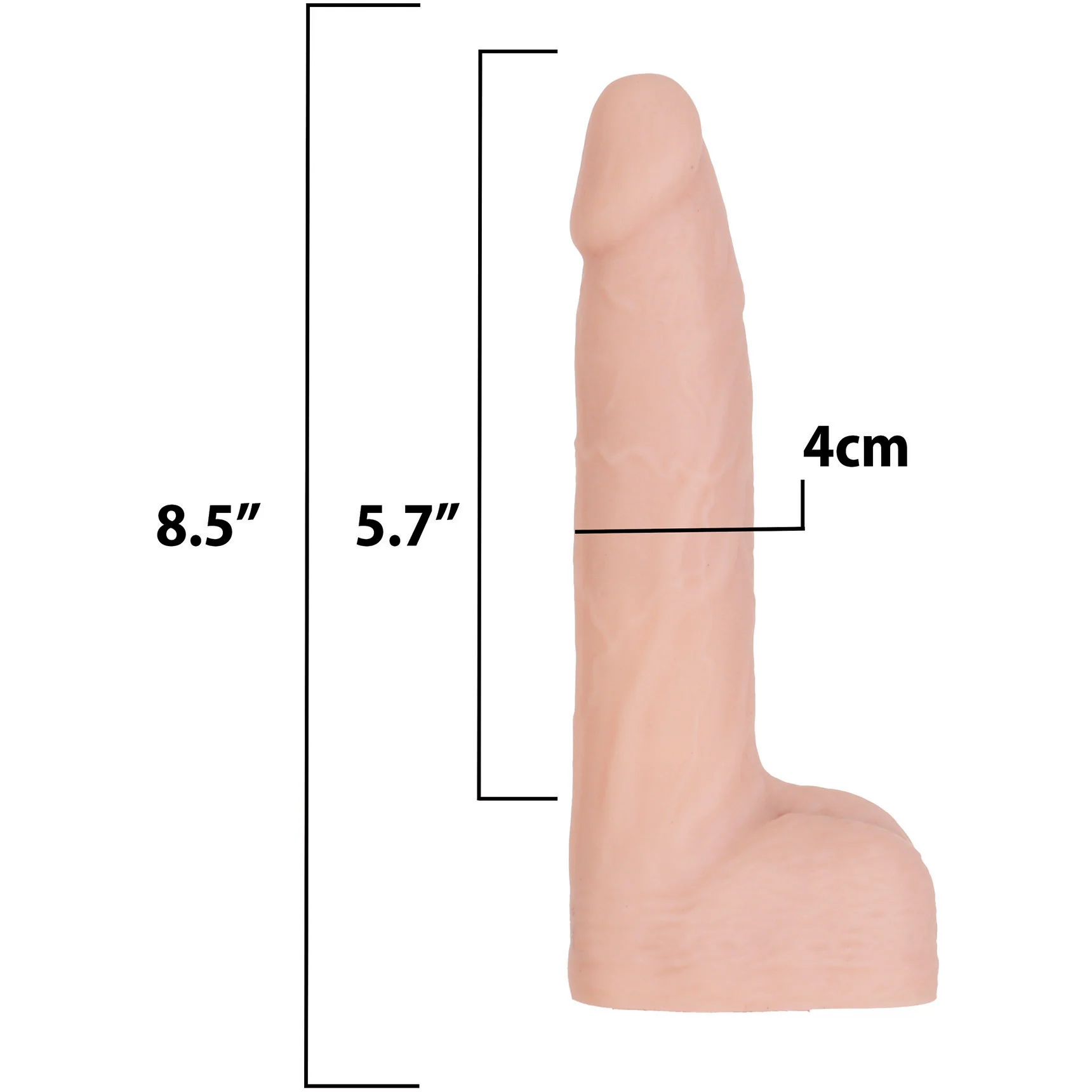 Naked Addiction Thrusting, Vibrating 8.5" Silicone Suction Cup Dildo With Balls & Remote - Image 13