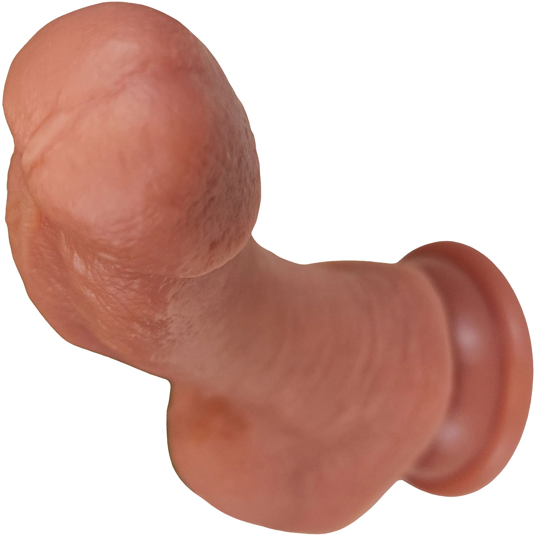The Goalie 5.25 Inch Silicone Realistic Dual Density Dildo With Balls & Suction Cup Base By Fukena - Image 8